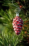pinecone christmas decoration jaw fir tree pine needles stock photo