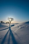 snow winter nature landscape cold winterscape snowy wintry stock photo
