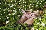 spring barefoot boots nature forest floor shoes stock photo