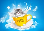 cat milk teacup persian beautiful wallpaper nature mac stock photo