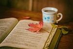 leaves coffee cup nature still life book reading stock photo