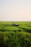 nature outdoors rural scene grass landscape summer nautical stock photo