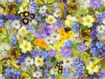 spring flowers flower wallpaper nature collage floral blossom stock photo