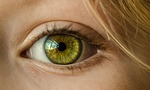 eye iris look focus green close up retina stock photo