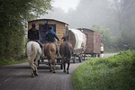 trailer gypsy caravan hair travel bohemia horses holiday stock photo