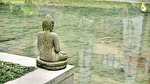 buddha statue pond sculpture stone nature buddhism water stock photo