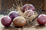 easter eggs nature basket color colored egg custom stock photo