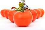 tomatoes cook frog healthy food preparation fun figure stock photo