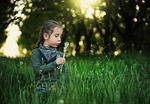 child dandelion kids spring nature grass flower wallpaper stock photo