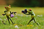 frog photographer nature model photo lady posing camera stock photo