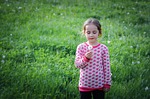 girl dandelion field sweater little kid child childhood stock photo