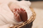 newborn baby feet young delicate toes small child stock photo
