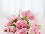 bouquet flowers nature roses beautiful flower background arrangement stock photo