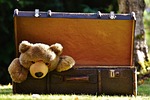 suitcase antique teddy stuffed animal toy fun curious stock photo