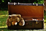 suitcase pet animal antique teddy cat hidden stuffed stock photo