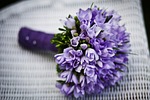 bouquet flower wallpaper nature flowers arrangement background purple stock photo