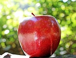 apple red fruit chief fresh ripe harvest produce stock photo