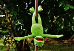 pole dance kermit fun stuffed animal nature toy stock photo