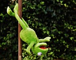 pole dance kermit nature fun stuffed animal toy stock photo
