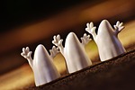 halloween ghosts happy ghost fall october mood cute stock photo
