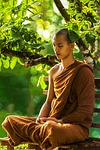 monk meditate zen meditation meditating theravada buddhism religion stock photo