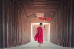 umbrella buddhism monk monastery asia boy buddhist child stock photo