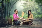 rice women sitting harvest sow sieve adult asia stock photo