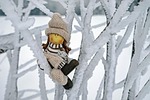 girl figure cap nature winter snow cold sitting stock photo