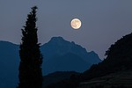 moon nature cypress mountains moonrise full romantic night stock photo