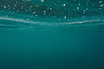 ocean sea submerged underwater nature water blue stock photo