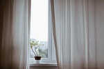 curtains decoration indoors nature plant potted window minimalist stock photo
