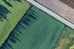 agriculture cropland aerial view green greenery vegetation farmland stock photo