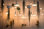 lights decoration nature illuminated interior design plants light stock photo
