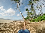 beach hammock blue sky clouds palm trees rest stock photo