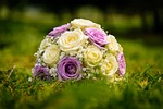 flowers roses bouquet flora flower wallpaper rose nature stock photo