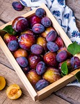 plums box apricots fruits fruit fresh ripe harvest stock photo