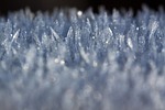 hoarfrost macro cold winter frozen crystals transparent frosty stock photo
