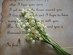 letter flowers lily of the valley romance handwriting stock photo