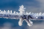 barbed wire frost frozen cold ice crystals hoarfrost stock photo