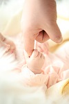 baby hand newborn trust dad child hold offspring stock photo