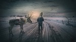 winter landscape reindeer boy fairytale small child moose stock photo