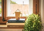 book read tee literature window sill houseplant frames stock photo