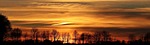 sunset trees panorama panoramic bare tree silhouettes backlighting stock photo