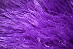 purple fur furry texture textured design soft fabric stock photo