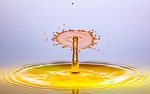 drops water waterdrop surface tension fluid liquid wet stock photo