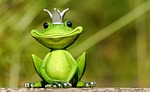 frog prince nature figure king cute funny animal stock photo