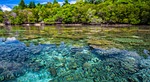coast coral reef transparent tropical widi islands halmahera stock photo