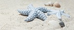 starfish shellfish sand porcelain blue holiday motif maritime stock photo