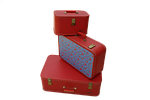 vintage luggage retro red travel suitcase baggage classic stock photo