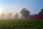 foggy morning field landscape nature fog mist light stock photo